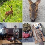 شکارچیان شوکا در سیاهکل دستگیر شدند