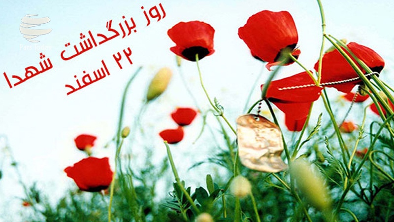 شهید نگرشی والا، خونی جوشان و آیینه تاریخ است