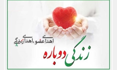 اهداء عضو، اهداء زندگی