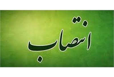 مدیرکل تعاون، کار و رفاه اجتماعی گیلان منصوب شد