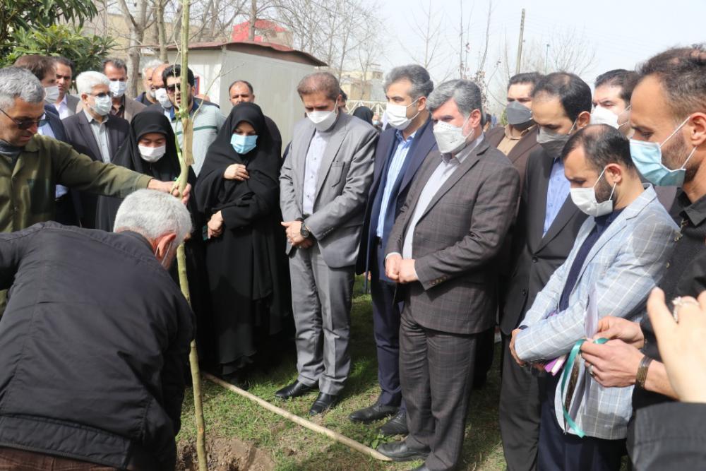 آیین کاشت نهال به یاد زندگی بخشیِ اهدا کنندگان عضو در رشت