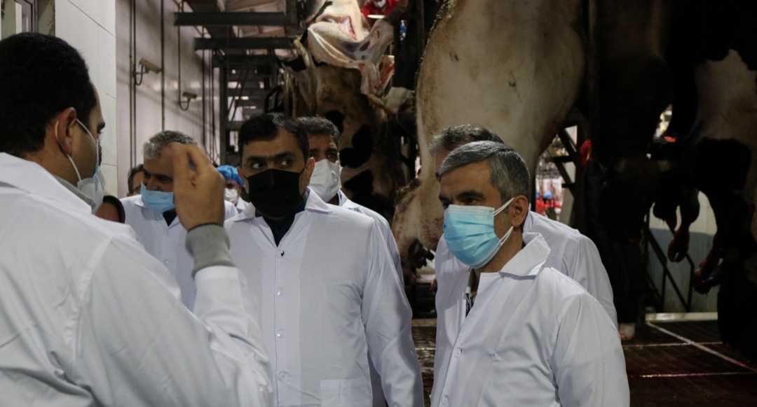 بازدید مدیر کل تعزیرات حکومتی گیلان از یک گشتارگاه دام در رشت