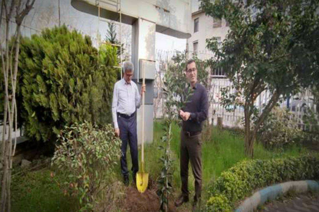 سرپرست دانشگاه علوم پزشکی گیلان،سه اصله نهال غرس کرد