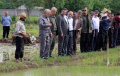 استاندار: آب کشاورزی در گیلان عادلانه توزیع می شود