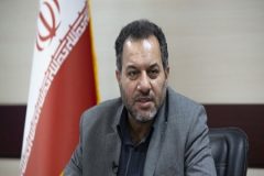 نرخ باروری در کشور پس از ۳۰ سال افزایش یافت