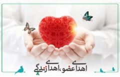 اهدای اعضای نوجوان ۱۸ ساله لنگرودی به بیماران نیازمند عضو زندگی دوباره بخشید