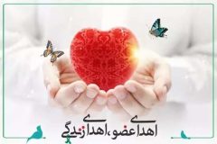 نجات زندگی سه بیمار نیازمند پیوند عضو توسط جوان جان‌بخش ۴۰ساله اهل رشت