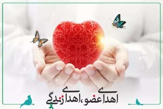 نجات زندگی سه بیمار نیازمند پیوند عضو توسط جوان جان‌بخش ۴۰ساله اهل رشت