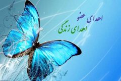 نخستین اهدای عضو در سال ۱۴۰۳