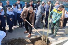 کاشت ۱۸ هزار نهال بومی گیلان در رشت/ توزیع ۱۰ هزار نهال بین شهروندان