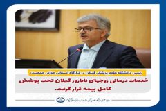 خدمات درمانی زوج‌های نابارور گیلان تحت پوشش کامل بیمه قرار گرفت/ اجرای موفق طرح نفس در تالش با احیا ۱۰۳ نوزاد