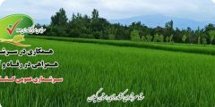 افزون بر ۷۵۰ نفر، اجراي سرشماري كشاورزي در گيلان را بر عهده خواهند داشت
