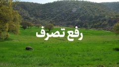 رفع تصرف اراضی ملي بندرانزلي