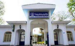  ضرورت توجه و تقویت نیروهای حراست بیمارستان پورسینای رشت