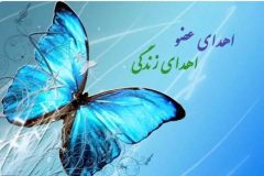 نخستین اهدای عضو سال ۱۴۰۴در گیلان انجام شد