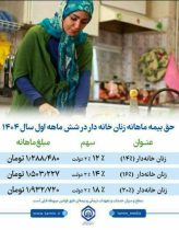جامعه بزرگ زنان خانه دار شایسته آینده ای مناسب همراه با آرامش خاطر هستند