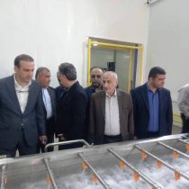 در شهرستان رودسر ۹۲ واحد صنعتی فعال هستند