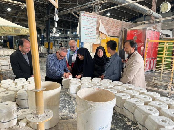 بازدید روسای تامین اجتماعی شهرهای مختلف استان از شرکتها و واحدهای تولیدی