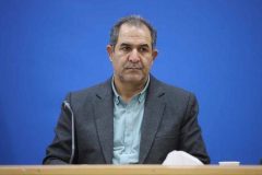انهدام ریزپرنده های مهاجم در آسمان انزلی