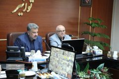 قدردانی مدیرعامل توانیر از اجرای موفق برنامه‌های مدیریت مصرف / تأکید بر ادامه اقدامات‌ اجرایی کنترل مصرف در روزهای گرم پیش رو 