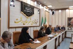بدون نهادینه شدن فرهنگ، تسهیلات دولتی در حوزه جمعیت کارآمد نیست