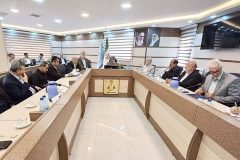 کمک به زندانیان جرائم غیر عمد