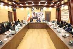 تنها راه ایجاد انگیزه برای گرایش به زایمان طبیعی، فرهنگ سازی است