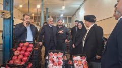 میرغضنفری: نظارت میدانی برای آرامش بازار شب یلدا ادامه دارد