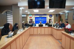 پیش بینی اجرای ۱۱۰ برنامه توسط کمیته همیاری و سازمان های حمایتی ستاد دهه فجر انقلاب اسلامی در استان گیلان