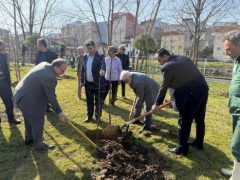 ۱۰ هزار اصله درخت بومی برای نخستین بار در سطح رشت غرس می شود