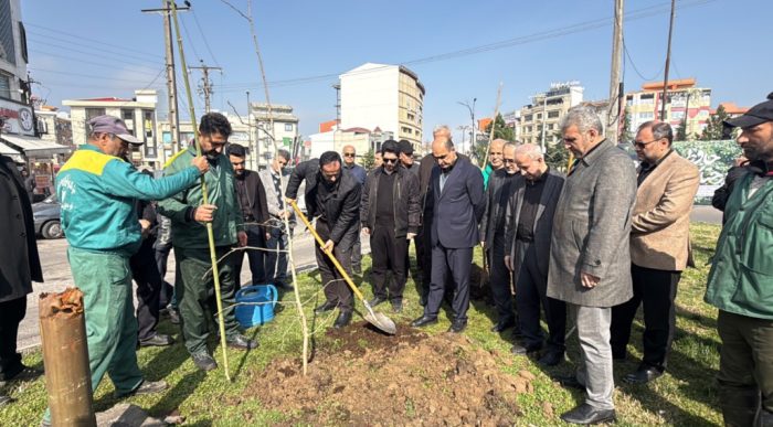 کاشت درختان بومی در سطح شهر رشت همزمان با هفته منابع طبیعی