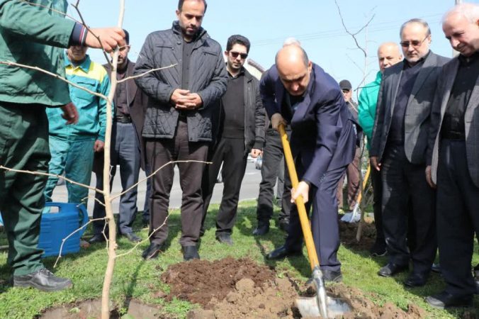 کاشت نهال از سوی استاندار گیلان به نیابت از امام شهید