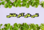 نفس آخر عاشقی